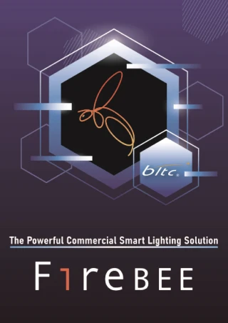 Beautiful Light Technology Corp.