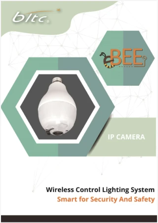 Beautiful Light Technology Corp.